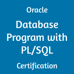1z0-149, 1z0-149 dumps, 1z0-149 study guide, oracle 1z0-149, 1z0-149 pdf, oracle database program with pl/sql 1z0-149, Oracle Database PL/SQL Developer Certified Professional, Oracle Database, Oracle Database Program with PL/SQL Certification Questions, Oracle Database Program with PL/SQL Online Exam, Database Program with PL/SQL Exam Questions, Database Program with PL/SQL, Oracle 1Z0-149 Questions and Answers, 1Z0-149 Study Guide, 1Z0-149 Practice Test, 1Z0-149 Sample Questions, 1Z0-149 Simulator, Oracle Database Program with PL/SQL, 1Z0-149 Certification, 1Z0-149 Study Guide PDF, 1Z0-149 Online Practice Test, Oracle Database 19C Mock Test