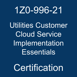 1z0-996-21, 1z0-996-21 dumps, Oracle Utilities Customer Cloud Service Implementation Essentials Certification Questions, Oracle Utilities Customer Cloud Service Implementation Essentials Online Exam, Utilities Customer Cloud Service Implementation Essentials Exam Questions, Utilities Customer Cloud Service Implementation Essentials, Oracle Customer Cloud Service Training and Certification, 1Z0-996-21, Oracle 1Z0-996-21 Questions and Answers, Oracle Utilities Customer Cloud Service 2021 Certified Implementation Specialist, 1Z0-996-21 Study Guide, 1Z0-996-21 Practice Test, 1Z0-996-21 Sample Questions, 1Z0-996-21 Simulator, Oracle Utilities Customer Cloud Service 2021 Implementation Essentials, 1Z0-996-21 Certification, 1Z0-996-21 Study Guide PDF, 1Z0-996-21 Online Practice Test, Oracle Utilities Customer Cloud Service 21A Mock Test