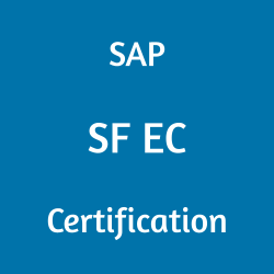 C_THR81_2205 pdf, C_THR81_2205 questions, C_THR81_2205 practice test, C_THR81_2205 dumps, C_THR81_2205 Study Guide, SAP SF EC Certification, SAP SF Employee Central Questions, SAP SuccessFactors Employee Central, SAP SuccessFactors, SAP SF EC Sample Questions, SAP SF EC Mock Test, SAP SF EC Online Test, SAP SF EC Exam Questions, SAP SF EC Simulator, SAP SF EC Quiz, SAP SF EC Certification Question Bank, SAP SF EC Certification Questions and Answers, SAP SuccessFactors Certification, SAP SuccessFactors Employee Central exam, C_THR81_2205, C_THR81_2205 Exam Questions, C_THR81_2205 Questions and Answers, C_THR81_2205 Sample Questions, C_THR81_2205 Test