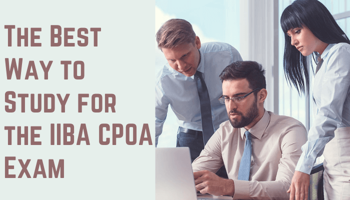 IIBA Certificate in Product Ownership Analysis, IIBA Certificate in Product Ownership Analysis Exam, Certificate in Product Ownership Analysis, Certificate in Product Ownership Analysis Exam, Product Ownership Analysis, Product Ownership Analysis Exam, Product Ownership Analysis Certification, IIBA CPOA, IIBA CPOA Exam, IIBA CPOA Certification, IIBA CPOA Certification Exam, IIBA CPOA Exam Questions, CPOA, CPOA Exam, CPOA Certification, CPOA Questions, CPOA Question Bank, CPOA Syllabus, CPOA Exam Outline, CPOA Sample Questions, CPOA Practice Test, IIBA, IIBA Exam, IIBA Certification