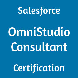 OmniStudio Consultant, OmniStudio Consultant Mock Test, OmniStudio Consultant Practice Exam, OmniStudio Consultant Prep Guide, OmniStudio Consultant Questions, OmniStudio Consultant Online Test, Salesforce OmniStudio Consultant Study Guide, Salesforce OmniStudio Consultant Cert Guide, OmniStudio Consultant Certification Mock Test, OmniStudio Consultant Simulator, OmniStudio Consultant Mock Exam, Salesforce OmniStudio Consultant Practice Test