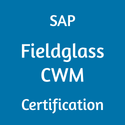 C_TFG51_2405 SAP Fieldglass Contingent Workforce Management - Administrator Certification