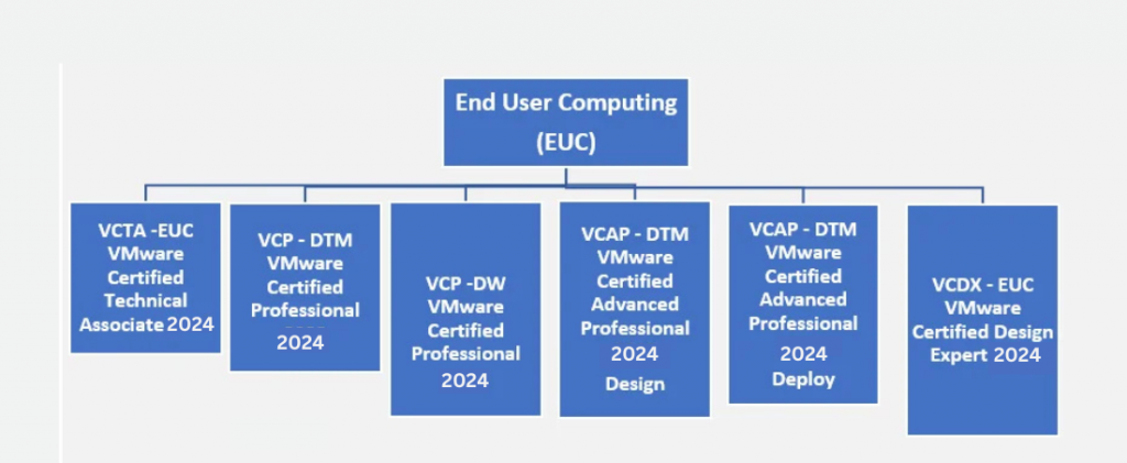The image outlines the VMware End User Computing (EUC) certification track for 2024. It starts with VCTA - EUC (technical associate), then progresses to VCP - DTM and VCP - DW (professional certifications). At the advanced professional level, it includes VCAP - DTM (design and deploy specializations), and culminates with VCDX - EUC (design expert).