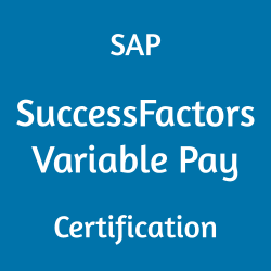 C_THR87_2405 SAP SuccessFactors Variable Pay - Implementation Consultant Certification