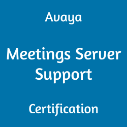 Avaya 72402T Meetings Server Support Certification