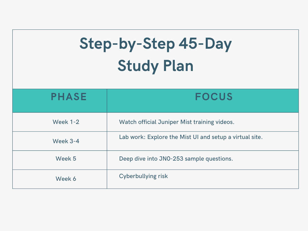 Step-by-Step 45-Day Study Plan
