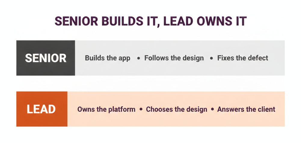 What an Appian senior developer does compared with what a lead developer owns