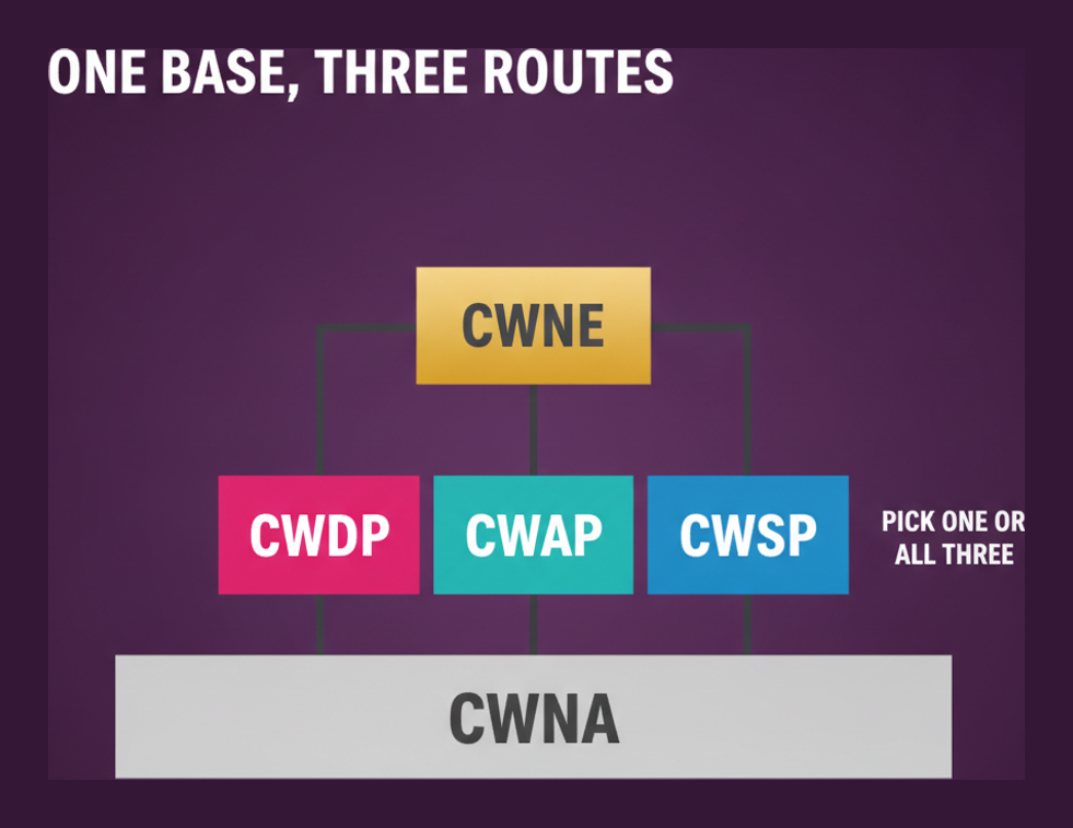 The CWNP track with CWNA at the base, CWDP, CWAP and CWSP above it, and CWNE at the top